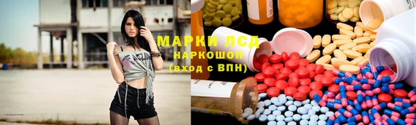 ГАЛЛЮЦИНОГЕННЫЕ ГРИБЫ Строитель